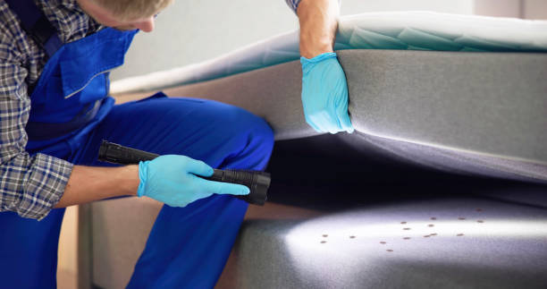 Best Flea Control Services  in Winchester, OH