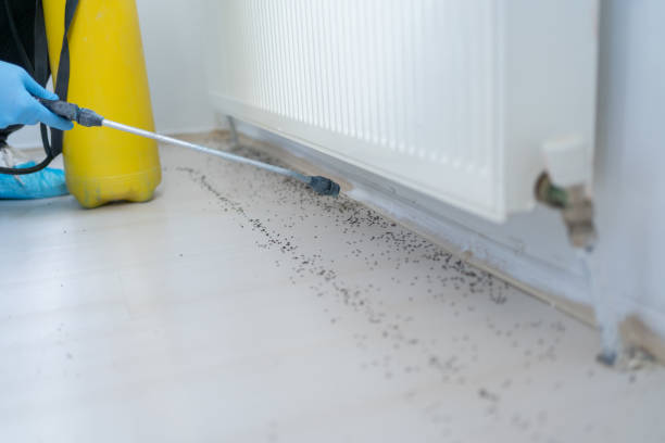 Best Bed Bug Extermination  in Winchester, OH